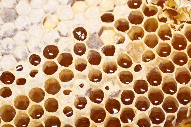 istock Honeycomb with honey in closeup. Macro 824667044