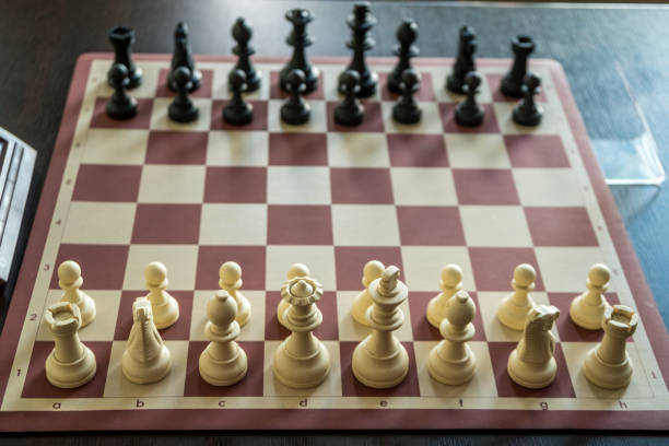 istock chess pieces on the board Before the chess tournament 824692928