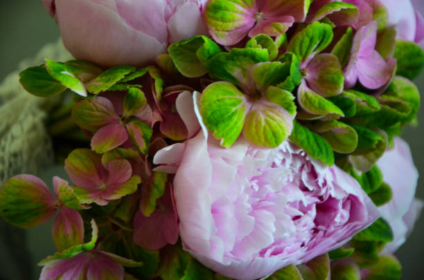 istock summer flowers close up view 824693176