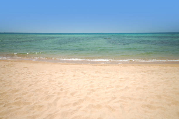 istock Tropical beach at Phangan island. 824703426