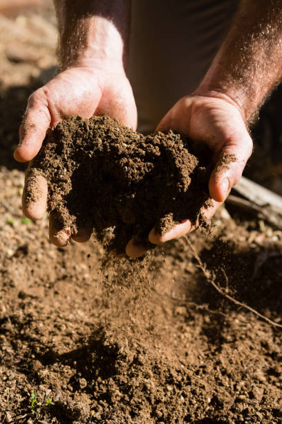istock Man holding soil in garden 824706992