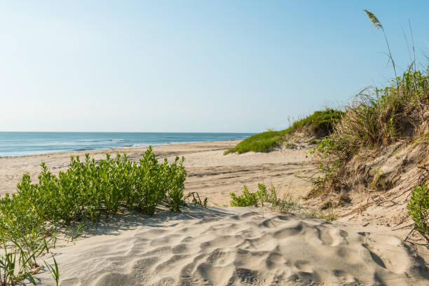 istock Coquina Beach on the Outer Banks in Nags Head 824712764