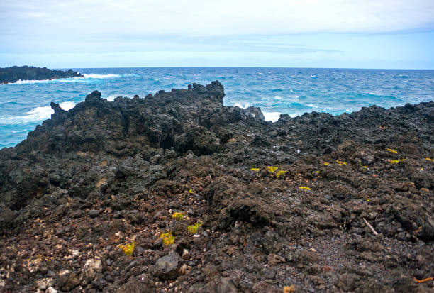 пляж черного песка на острове мауи - black sand beach hawaii islands maui стоковые фото и изображения