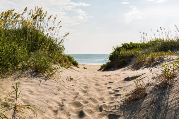 istock Sandy Pathway to Coquina Beach at Nags Head, North Carolina 824713040
