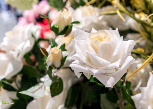istock Artificial white rose flower in pot close up on blurred background 824713634