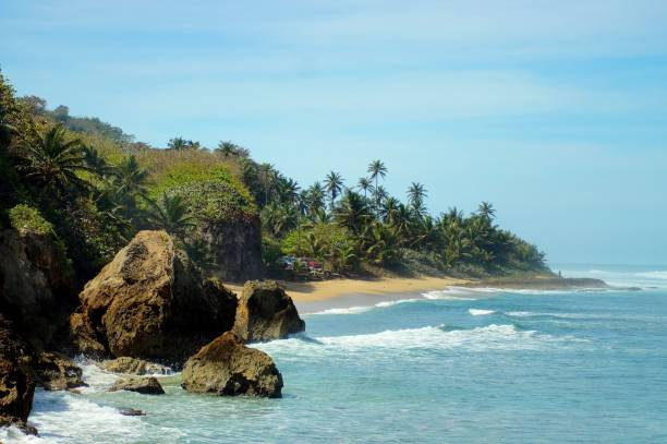 istock Puerto Rico Tropical Surf Beaches 824716716
