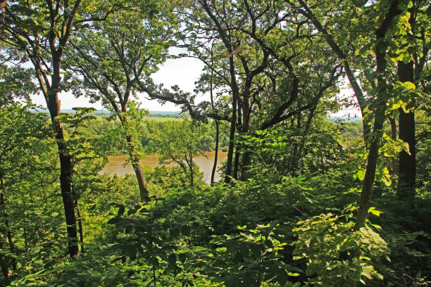 istock Missouri River as Seen from a Fontenelle Forest Trail 824720558