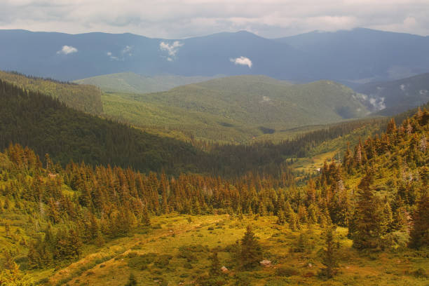 istock Twilight in the Carpathian mountains 824722720