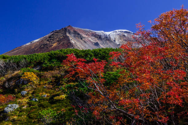 istock The fall season comes early to Daisetsuzan 824722736
