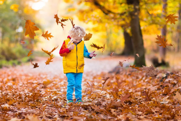 istock Child in fall park. Kid with autumn leaves. 824724290