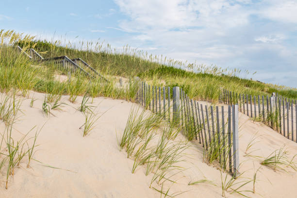 istock Sand Dunes, Beach Grass and Sand Fences at Nags Head 824726530