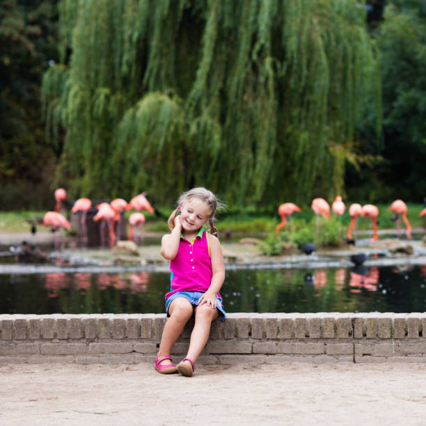 istock Child watching animals and birds at the zoo 824727194