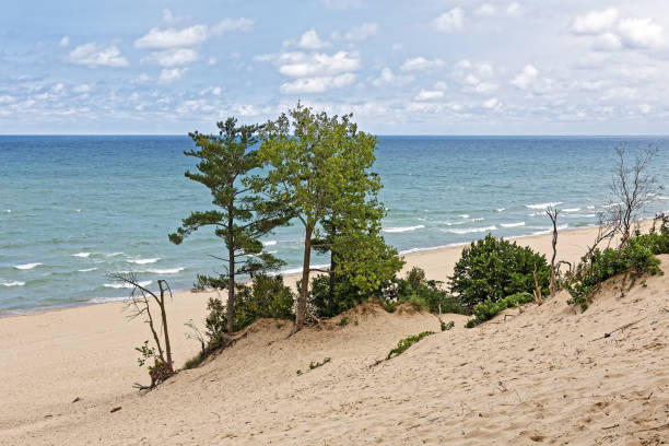 istock Sand Dunes on Lake Michigan 824730832