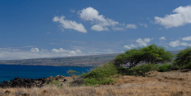 istock Trail at coast line between Waialea and Hapuna. 824736656