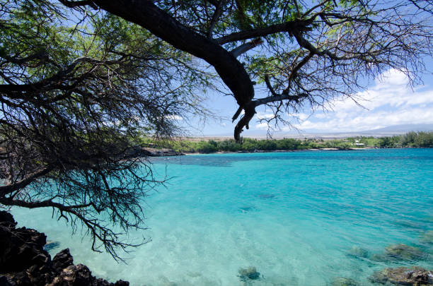 istock Little  beautiful bay  hiding between Waialea and Hapuna. 824736716