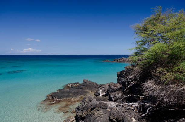 istock Little  beautiful bay  hiding between Waialea and Hapuna. 824736786