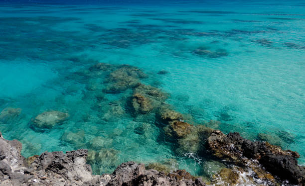 istock Coastline and cliffs to the south of Hapuna . 824736896