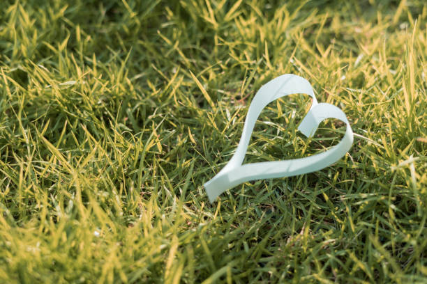 forma de coração de papel na grama - heart shape grass paper green - fotografias e filmes do acervo