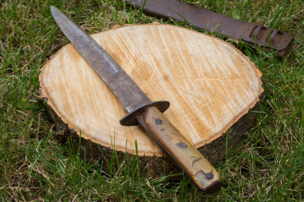 old bayonet with scabbard on a stump in a meadow - dagger military isolated bayonet imagens e fotografias de stock