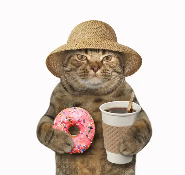 Photo of Cat with coffee and donut 1