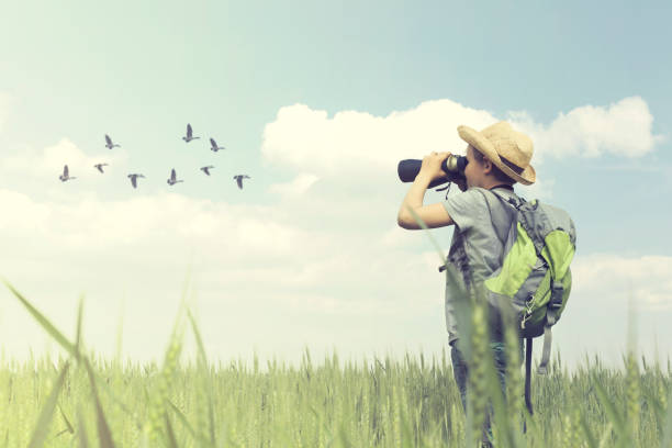 Young birdwatcher looks with his binoculars the bird world stock photo