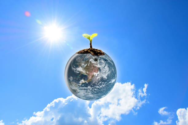 Young seedlings planted on the globe  earth with clear blue sky and sun behind background. Element of this image furnished by Nasa. 3D illustration.