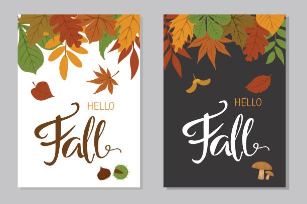 hallo herbst herbst plakate im a4-format mit bunten blätter waldgrenze und handgeschriebene schrift oon schwarzen und weißen hintergrund - leaf white background beech leaf branch stock-grafiken, -clipart, -cartoons und -symbole