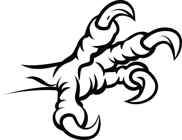 45,100+ Claw Stock Illustrations, Royalty-Free Vector Graphics & Clip