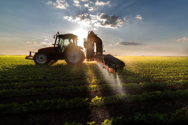 istock Tractor spraying pesticides on soybean field  with sprayer at spring 824796490