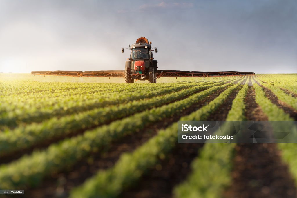 Tractor spraying soybean field at spring Tractor Stock Photo