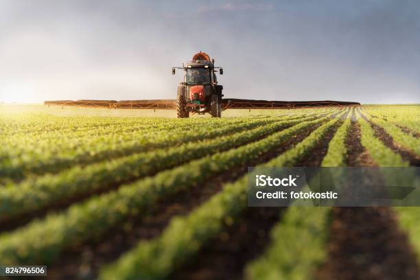 Foto de Trator Campo De Soja De Pulverização No Spring e mais fotos de stock de Trator - Trator, Pulverizar, Campo