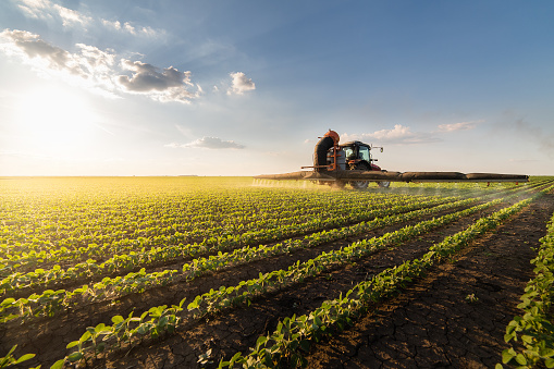 Tractores, pesticidas de rociadura en el campo de soja con rociador en primavera photo