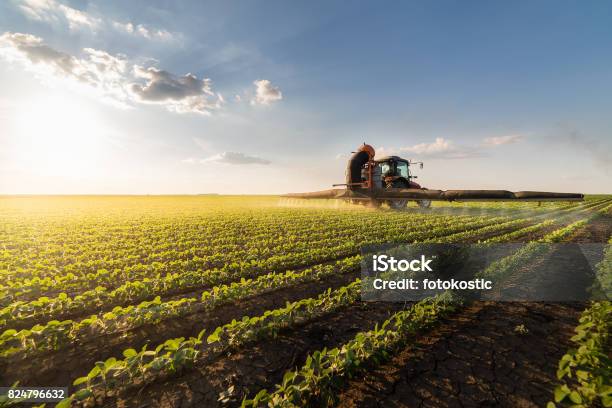 Photo libre de droit de Tracteur Épandage De Pesticides Sur Le Champ De Soya Avec Pulvérisateur Au Printemps banque d'images et plus d'images libres de droit de Agriculture