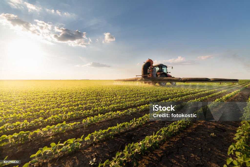 Trator de pulverização de pesticidas em campo de soja com pulverizador na primavera - Foto de stock de Agricultura royalty-free