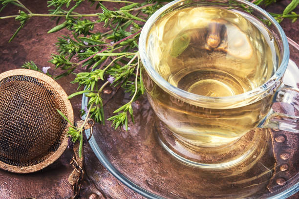 healing herbal oregano tea - oregano imagens e fotografias de stock
