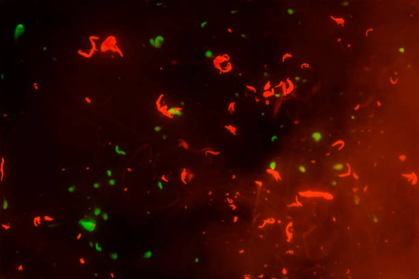 istock Abstract droplet color on the water with light from neon. 824798344