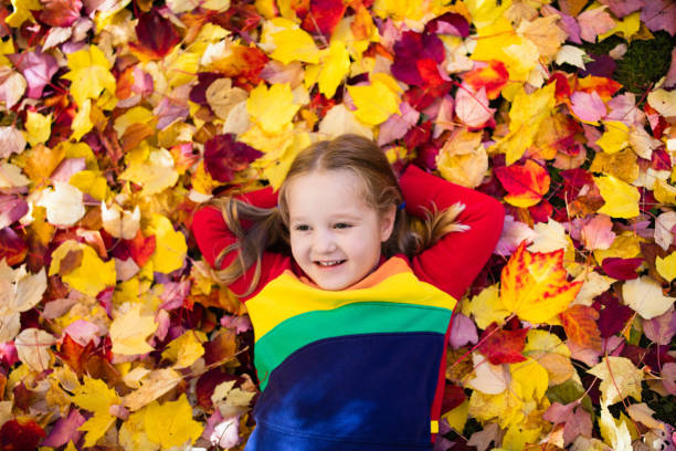 istock Child in fall park. Kid with autumn leaves. 824801050