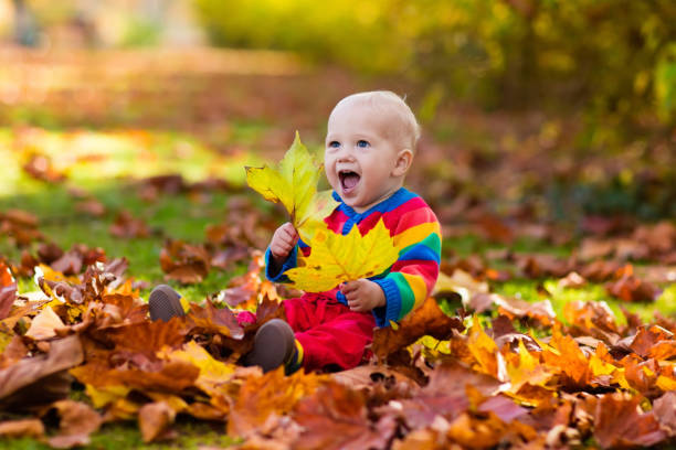 istock Child in fall park. Kid with autumn leaves. 824801436
