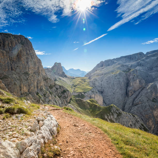 istock Alpe di Siusi - Friedrich-August-Weg Footpath to Mount Sassolungo 824804270