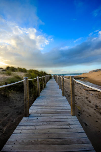 istock Wooden path to the beach on the dunes 824805416