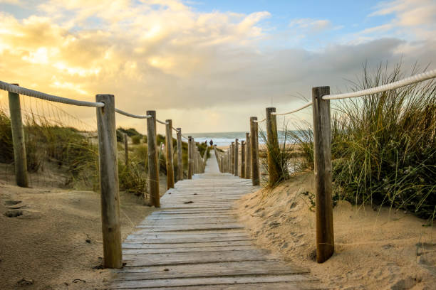 istock Wooden path to the beach on the dunes 824805418