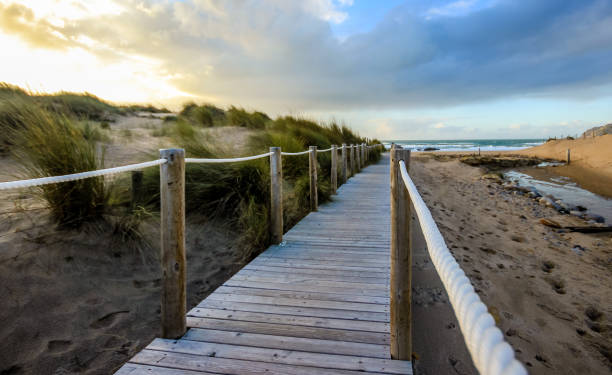 istock Wooden path to the beach on the dunes 824805426