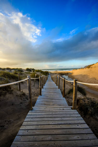 istock Wooden path to the beach on the dunes 824805428
