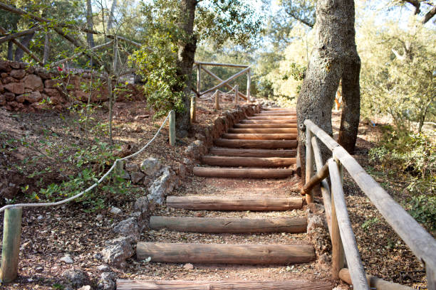 istock staircase made with wooden logs 824808148