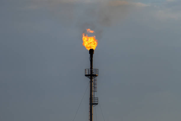 istock burning torch at the refinery against the grey sky 824809598
