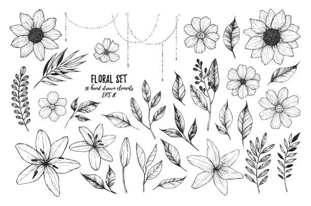 Vector illustration of Vector illustrations - Floral set (flowers, leaves and branches). 30 hand drawn design elements in sketch style.  Perfect for invitations, greeting cards, tattoo, prints etc