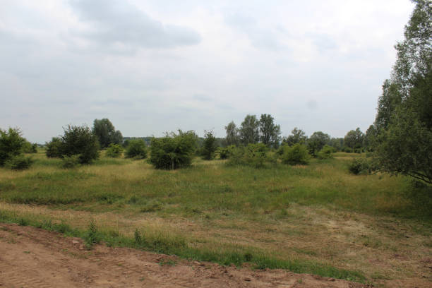 istock Gelderlandse polder 824819562