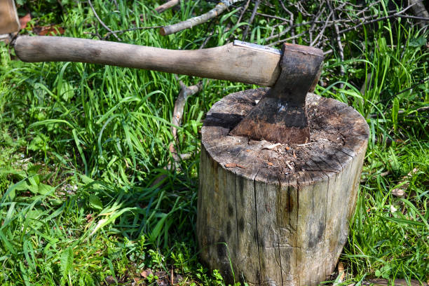 切り株を斧します。木材を切断の準備ができての斧します。木工ツール。旅行、冒険、歯車キャンプ アウトドア アイテムします。 - agricultural occupation antique old fashioned axe ストックフォトと画像