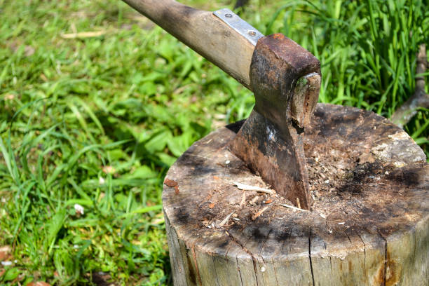 istock Axe in stump. Axe ready for cutting timber.Woodworking tool. Travel, adventure, camping gear, outdoors items 824820206