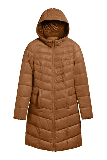 Brown winter long coat jacket with hood isolated on white